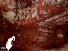 Tapeta National Geographic 525.jpg